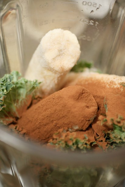 cocoa kale smoothie ingredients